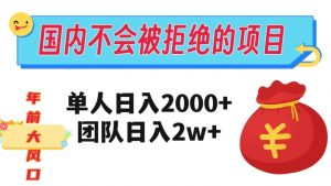 在国内不怕被拒绝的项目，单人日入2000，团队日入20000+【揭秘】-瀚海资源库