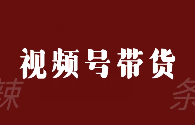 视频号带货联盟，赚信息差的带货钱，只需手机随时随地都可以做！-瀚海资源库