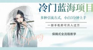冷门蓝海项目，操作简单，小白3分钟上手，多种引流方式，保姆式全流程教学【揭秘】-瀚海资源库