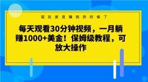 每天观看30分钟视频，一月躺赚1000+美金！保姆级教程，可放大操作【揭秘】-瀚海资源库