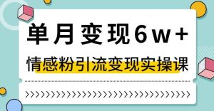 单月变现6W+，抖音情感粉引流变现实操课，小白可做，轻松上手，独家赛道【揭秘】-瀚海资源库