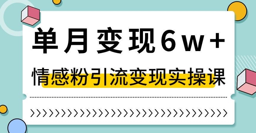 单月变现6W+，抖音情感粉引流变现实操课，小白可做，轻松上手，独家赛道【揭秘】-瀚海资源库