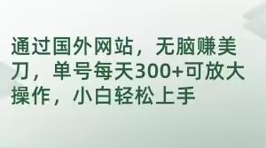 通过国外网站，无脑赚美刀，单号每天300+可放大操作，小白轻松上手【揭秘】-瀚海资源库