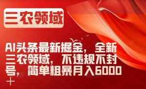 AI头条最新掘金，全新三农领域，不违规不封号，简单粗暴月入6000＋【揭秘】-瀚海资源库