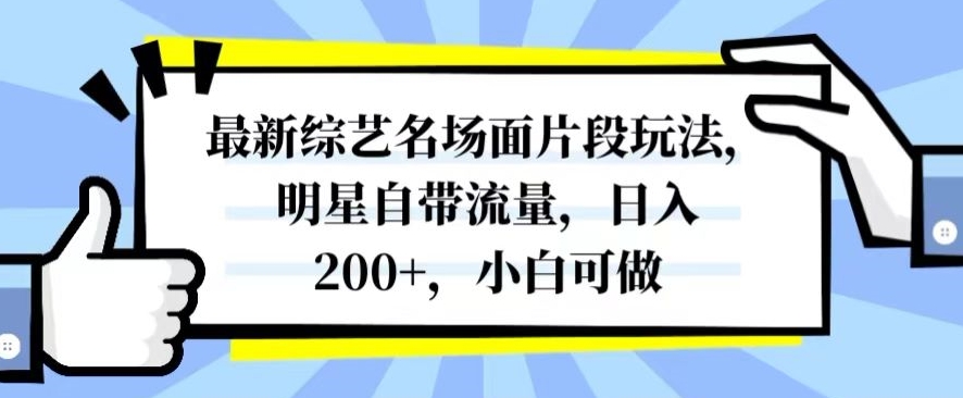 最新综艺名场面片段玩法，明星自带流量，日入200+，小白可做【揭秘】-瀚海资源库
