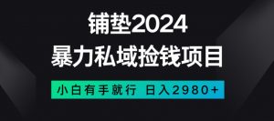 暴力私域捡钱项目，小白无脑操作，日入2980【揭秘】-瀚海资源库