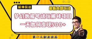 数据号回归玩法游戏试玩搬砖项目再创日入500+【揭秘】-瀚海资源库
