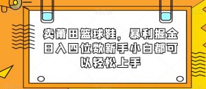 卖莆田篮球鞋，暴利掘金日入四位数新手小白都可以轻松上手【揭秘】-瀚海资源库
