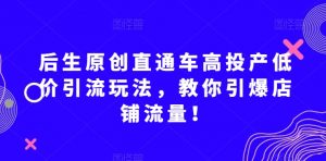 后生原创直通车高投产低价引流玩法，教你引爆店铺流量！-瀚海资源库