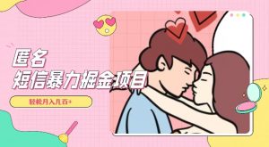 全网首发，揭秘超冷门匿名短信项目，通过信息差日入几百+【揭秘】-瀚海资源库