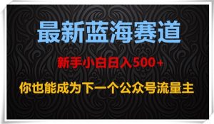 最新蓝海赛道,新手小白日入500+,你也能成为下一个公众号流量主【揭秘】-瀚海资源库