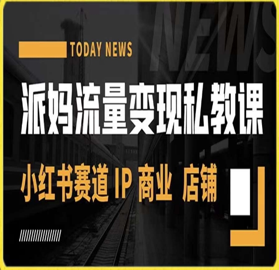 派妈流量变现私教课，小红书赛道IP  商业  店铺 -瀚海资源库