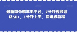 最新国外薅羊毛平台，2分钟视频收益50+，1分钟上手，保姆级教程【揭秘】-瀚海资源库
