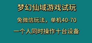 梦幻仙域游戏试玩，免微信玩法，单机40-70，一个人同时操作十台设备【揭秘】-瀚海资源库
