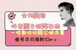 全网独家抖音图文矩阵引流，一招教你玩转公域流量，单号半月涨粉10w+【揭秘】-瀚海资源库