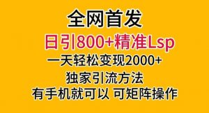 全网首发！日引800+精准老色批，一天变现2000+，独家引流方法，可矩阵操作【揭秘】-瀚海资源库