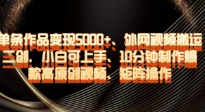单条作品变现5000+、外网视频搬运二创，小白可上手，10分钟制作爆款高原创视频，矩阵操作【揭秘】-瀚海资源库