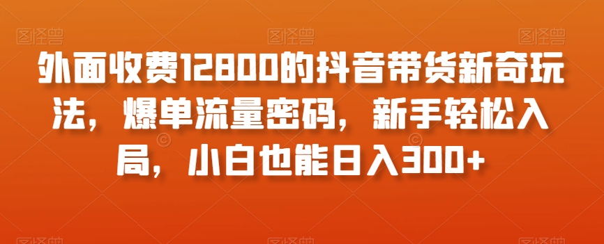 外面收费12800的抖音带货新奇玩法，爆单流量密码，新手轻松入局，小白也能日入300+【揭秘】-瀚海资源库