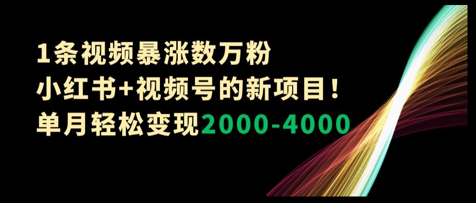 1条视频暴涨数万粉–小红书+视频号的新项目！单月轻松变现2000-4000【揭秘】-瀚海资源库