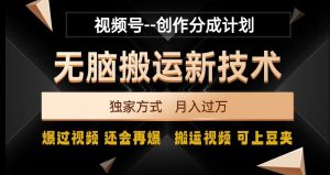 视频号无脑搬运新技术,破原创壕流量,独家方式,爆过视频,还会再爆【揭秘】-瀚海资源库
