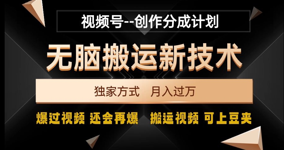 视频号无脑搬运新技术，破原创壕流量，独家方式，爆过视频，还会再爆【揭秘】-瀚海资源库