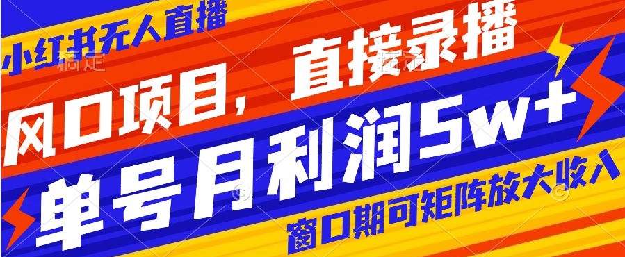 风口项目，小红书无人直播带货，直接录播，可矩阵，月入5w+【揭秘】-瀚海资源库