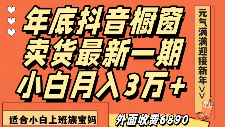 外面收费6890元年底抖音橱窗卖货最新一期，小白月入3万，适合小白上班族宝妈【揭秘】-瀚海资源库