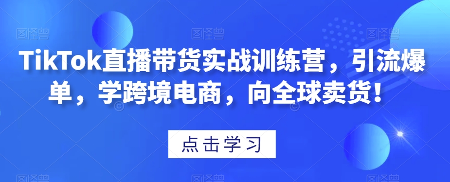 TikTok直播带货实战训练营，引流爆单，学跨境电商，向全球卖货！-瀚海资源库