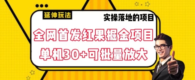 全网首发红果免费短剧掘金项目，单机30+可批量放大【揭秘】-瀚海资源库