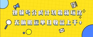 视频号最新爆火赛道玩法，只需无脑搬运，轻松过原创，单日收益上千【揭秘】-瀚海资源库
