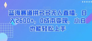 蓝海赛道拼多多无人直播,日入2600+,0成本变现,小白也能轻松上手【揭秘】-瀚海资源库