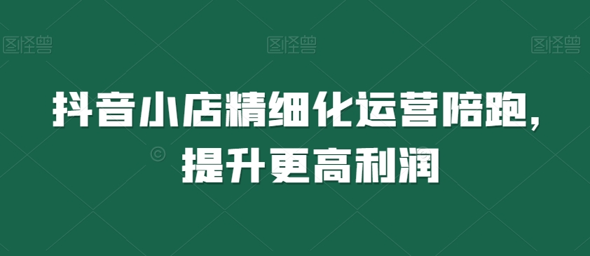 抖音小店精细化运营陪跑，提升更高利润-瀚海资源库
