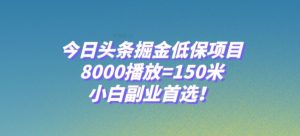 今日头条掘金低保项目,8000播放=150米,小白副业首选【揭秘】-瀚海资源库