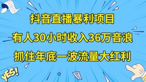 抖音直播暴利项目，有人30小时收入36万音浪，公司宣传片年会视频制作，抓住年底一波流量大红利【揭秘】-瀚海资源库