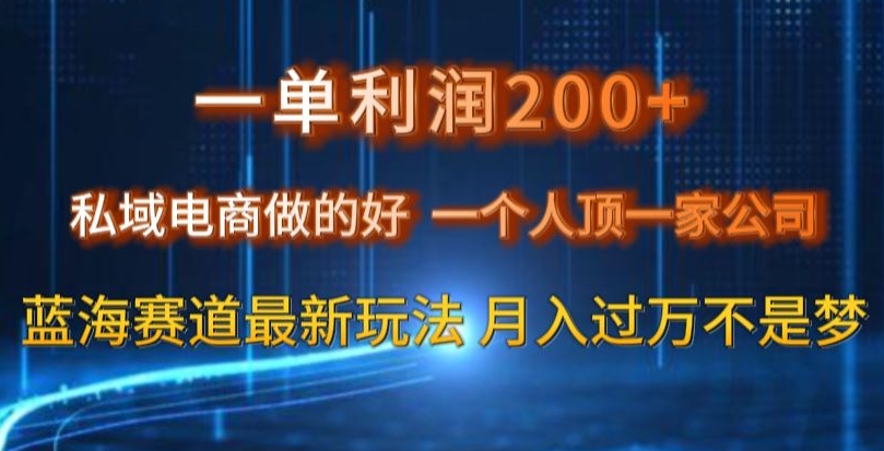 一单利润200私域电商做的好，一个人顶一家公司蓝海赛道最新玩法【揭秘】-瀚海资源库
