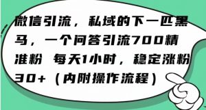 怎么搞精准创业粉?微信新赛道,每天一小时,利用Ai一个问答日引100精准粉-瀚海资源库