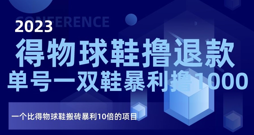 2023得物球鞋撸退款，单号一双鞋暴利撸1000，一个比得物球鞋搬砖暴利10倍的项目【揭秘】-瀚海资源库