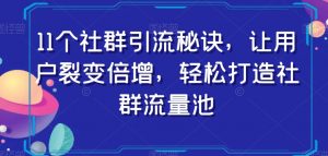 11个社群引流秘诀，让用户裂变倍增，轻松打造社群流量池-瀚海资源库
