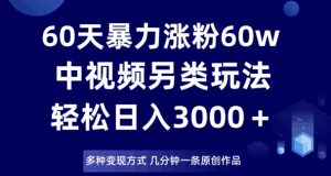 60天暴力涨粉60W，中视频另类玩法，日入3000＋，几分钟一条原创作品多种变现方式-瀚海资源库