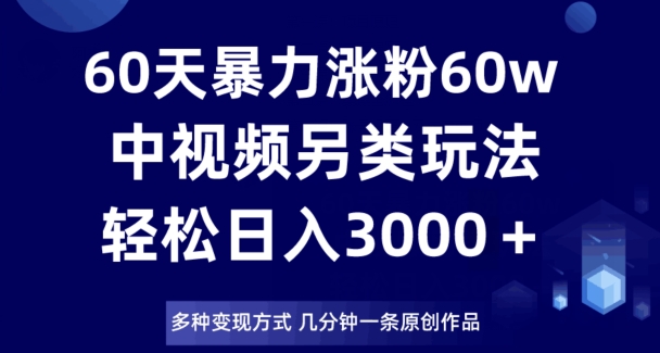 60天暴力涨粉60W，中视频另类玩法，日入3000＋，几分钟一条原创作品多种变现方式-瀚海资源库