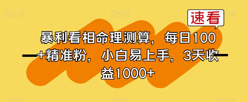 暴利看相命理测算，每日100+精准粉，小白易上手，3天收益1000+【揭秘】-瀚海资源库