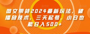 图文带货2024最新玩法，破播放技术，三天起号，小白也能日入500+【揭秘】-瀚海资源库