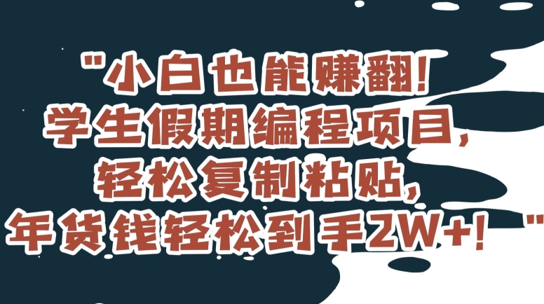 小白也能赚翻！学生假期编程项目，轻松复制粘贴，年货钱轻松到手2W+【揭秘】-瀚海资源库