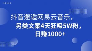 抖音邂逅网易云音乐，另类文案4天狂吸5W粉，日赚1000+【揭秘】-瀚海资源库