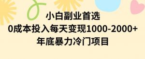 小白副业首选，0成本投入，每天变现1000-2000年底暴力冷门项目【揭秘】-瀚海资源库