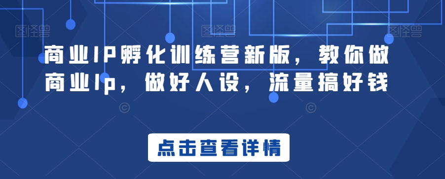 商业IP孵化训练营新版，教你做商业Ip，做好人设，流量搞好钱-瀚海资源库