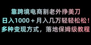 靠跨境电商割老外挣美刀,日入1000+月入几万轻轻松松!多种变现方式,落地保姆级教程【揭秘】-瀚海资源库