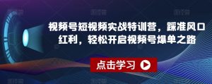 视频号短视频实战特训营，踩准风口红利，轻松开启视频号爆单之路-瀚海资源库