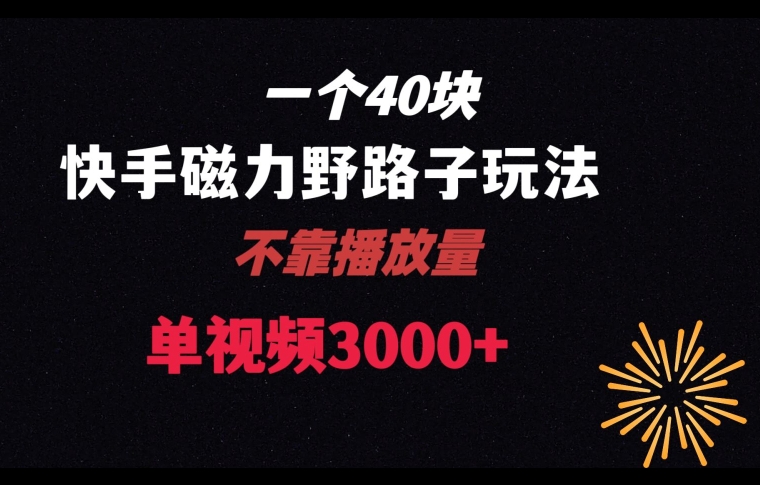 一个40块，快手联合美团磁力新玩法，无视机制野路子玩法，单视频收益4位数【揭秘】-瀚海资源库