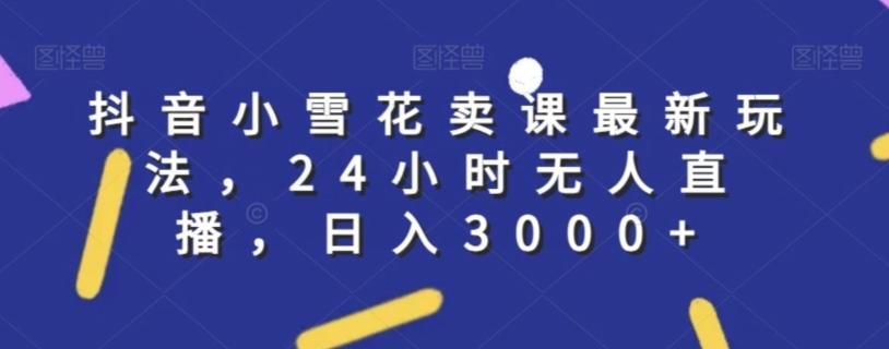 抖音小雪花卖课最新玩法，24小时无人直播，日入3000+【揭秘】-瀚海资源库